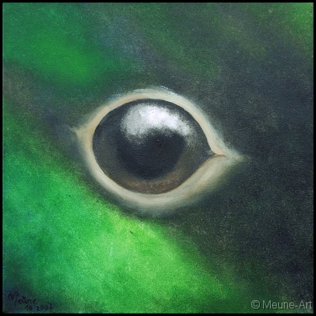 Augenblick einer maennlichen Stockente Acryl auf Leinwand;
30 x 30 cm